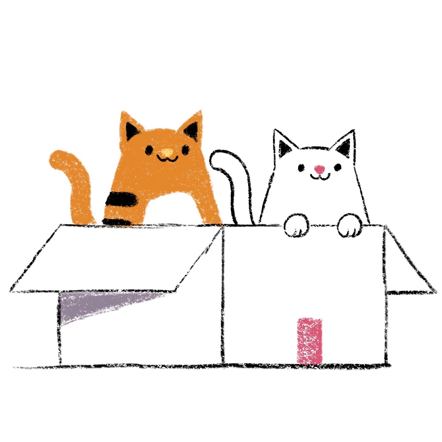 Dicas BRAVE para quem está pensando em adotar um animal de estimação